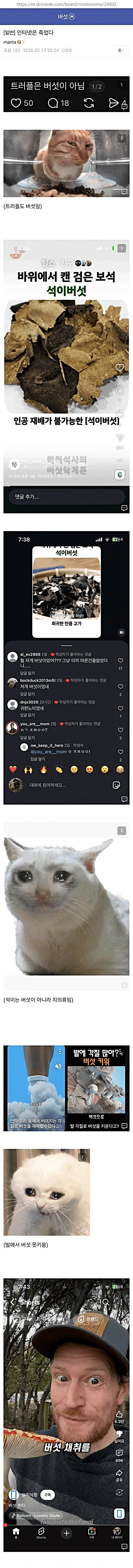 버섯갤 주딱의 애환